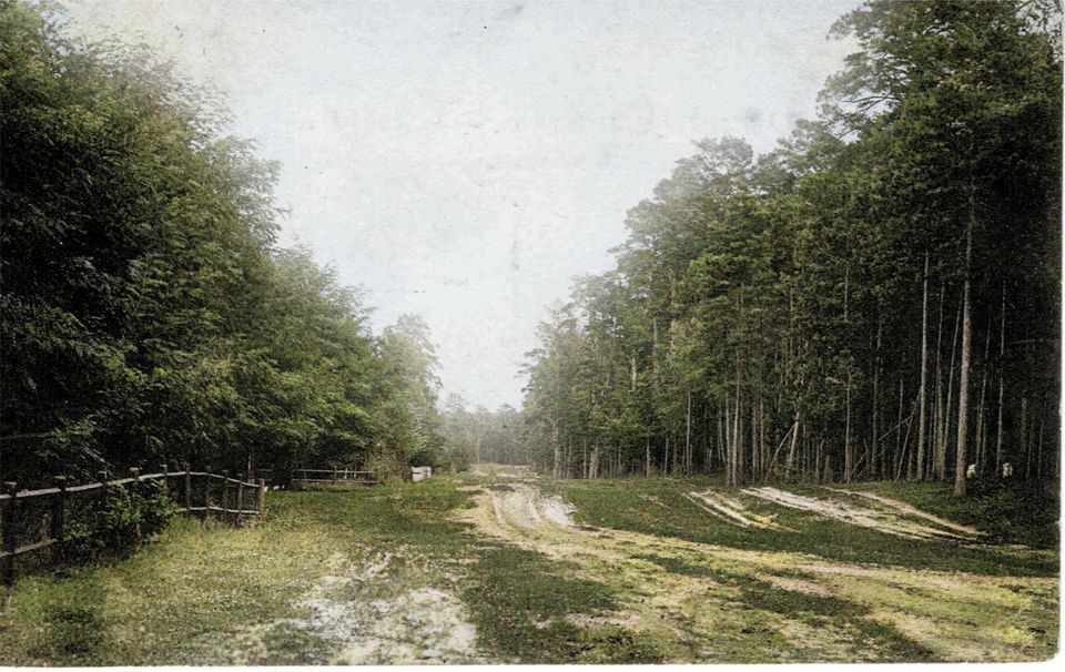 В Киеве на Дарнице в 1910-х годах на месте нынешнего ДВРЖ существовал курорт. Фото