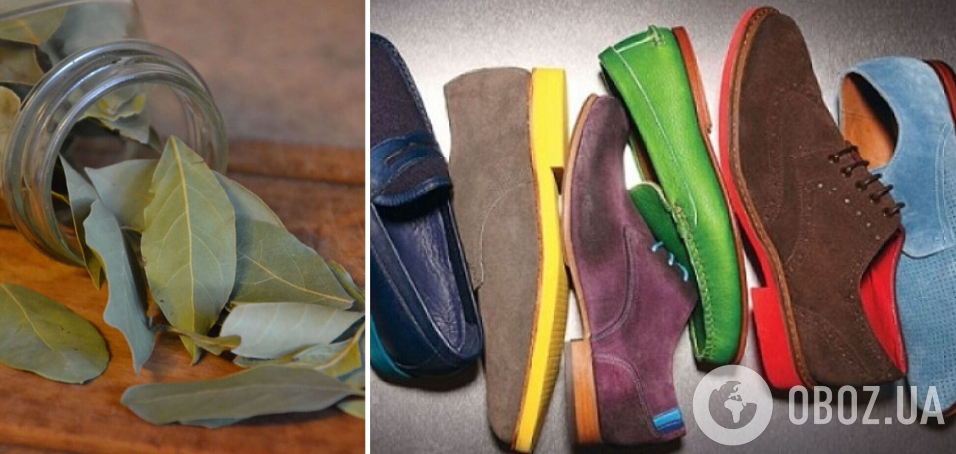 Навіщо кладуть лаврове листя у взуття: у чому секрет лайфхаку