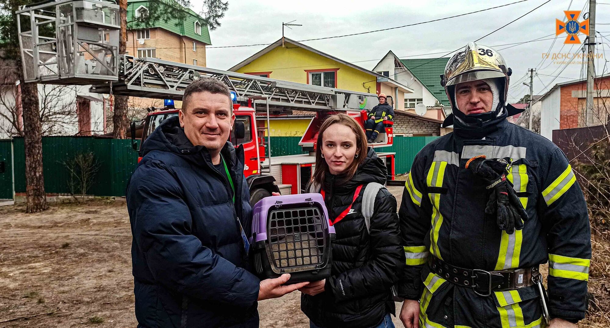 На Київщині бійці ДСНС врятували кота, який три доби просидів на висоті 11 метрів. Фото та відео