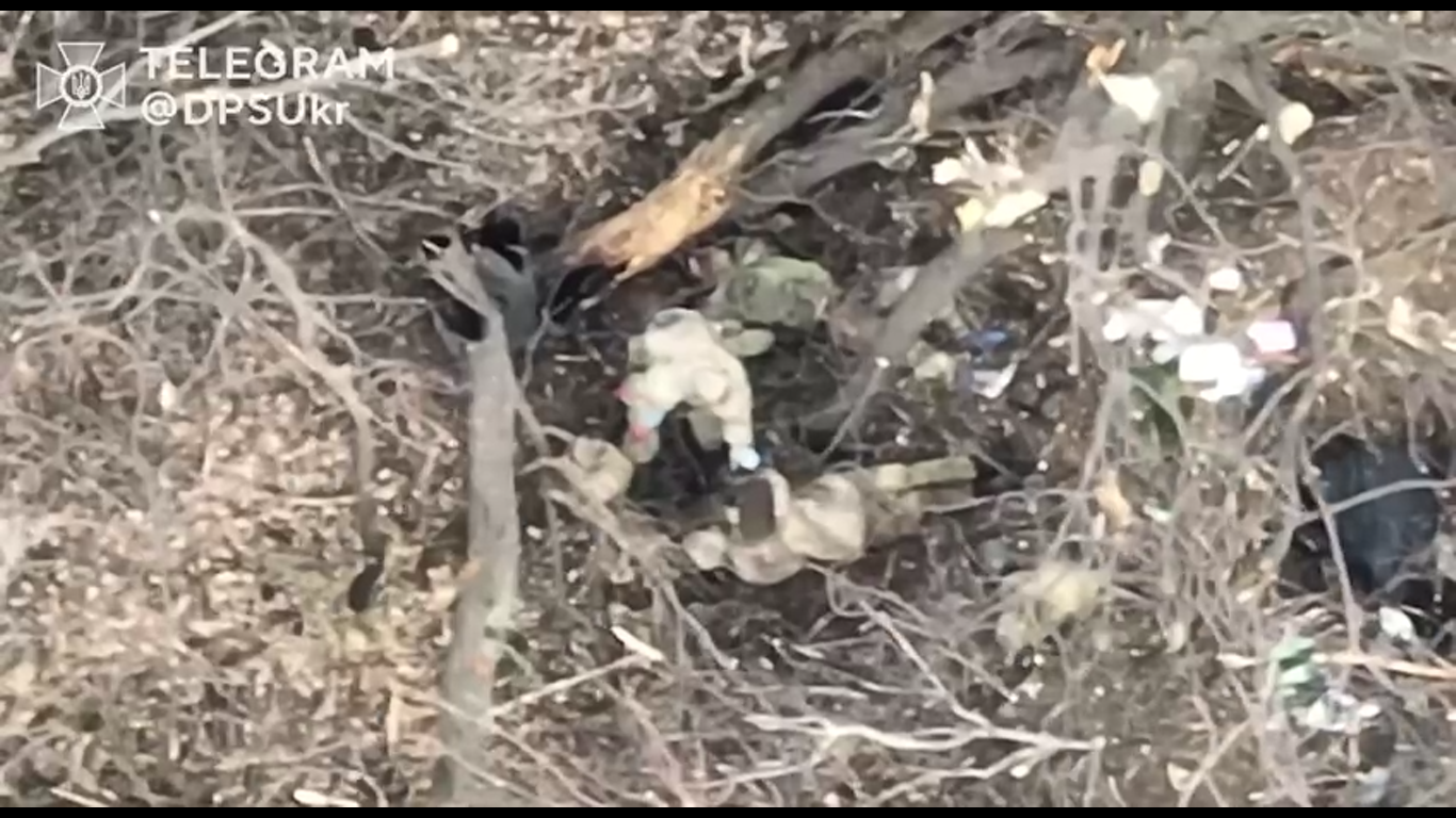Сили оборони знищили чотирьох окупантів під Бахмутом, п'ятий прийшов обікрасти вбитих. Відео