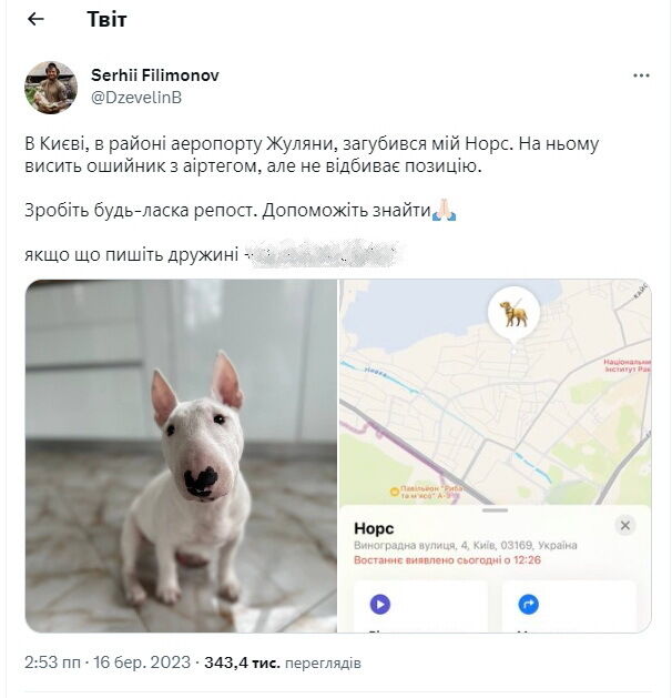 В Киеве украли собаку у звезды фильма "Носорог" и требовали выкуп: известны подробности. Фото и видео