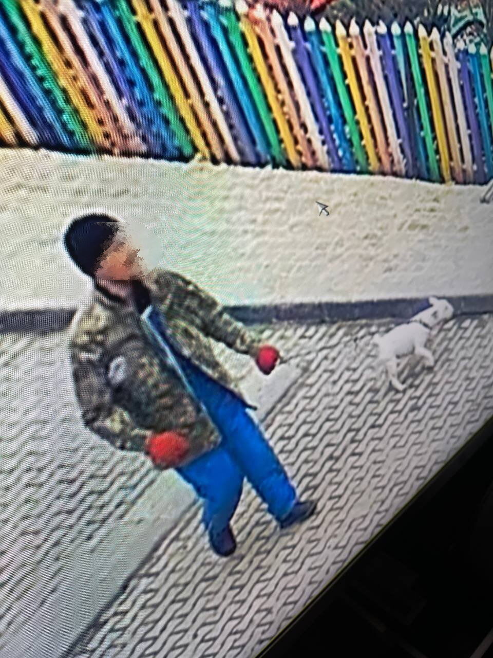 В Киеве украли собаку у звезды фильма ''Носорог'' и требовали выкуп: известны подробности. Фото и видео