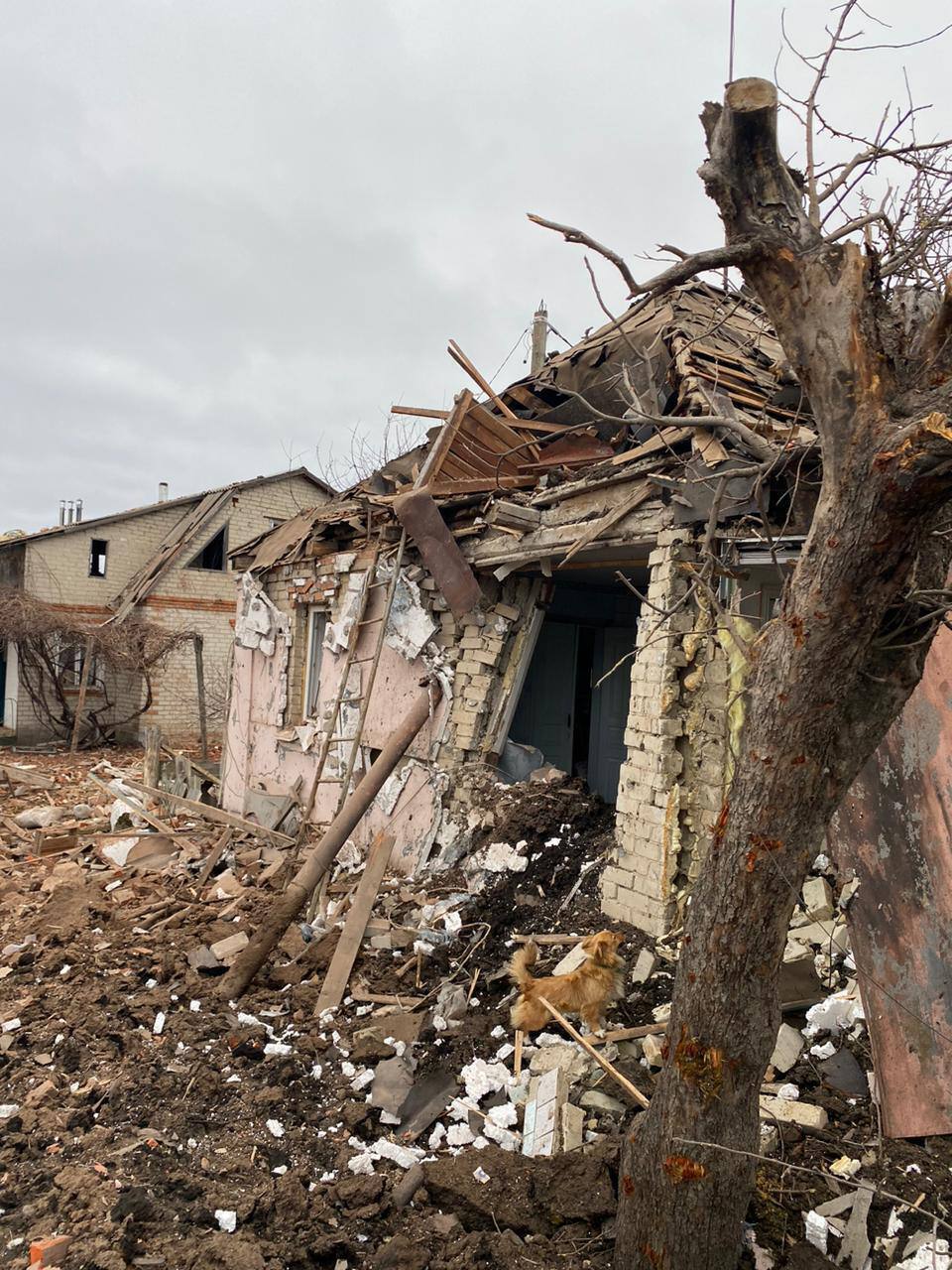 Окупанти обстріляли 13 населених пунктів Харківщини, поранено жінку: лікарі борються за її життя