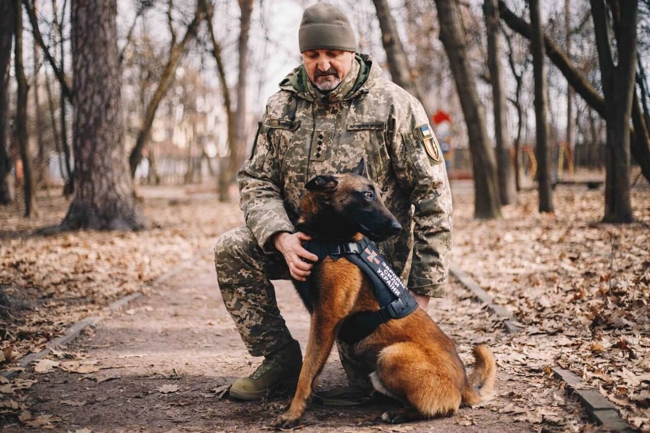 У Патрона появился помощник: пес-сапер Алмаз помогает разминировать Киевщину. Фото
