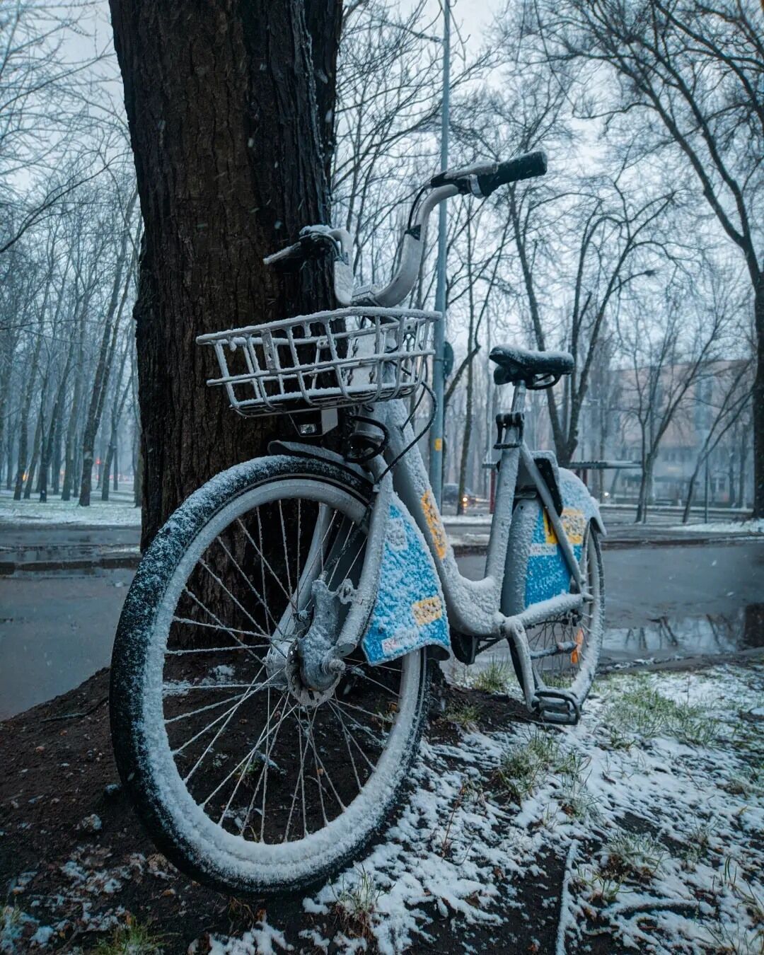 Снегопад в Киеве 28 марта – Киев засыпало снегом – непогода в Киеве |  OBOZ.UA