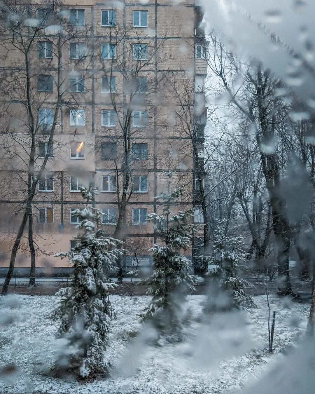 Київ засипало снігом: з’явилися атмосферні фото і відео засніженої столиці у березні