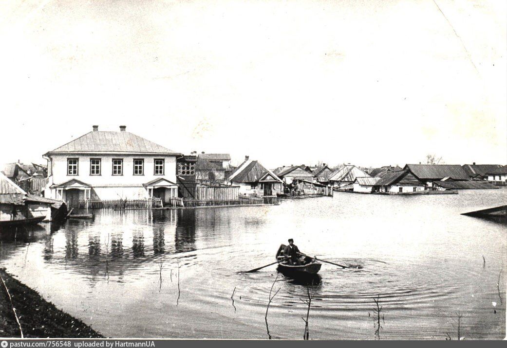 У 1905 році мешканці Труханового острова в Києві через паводок рятувались із тваринами на дахах будинків. Архівні фото