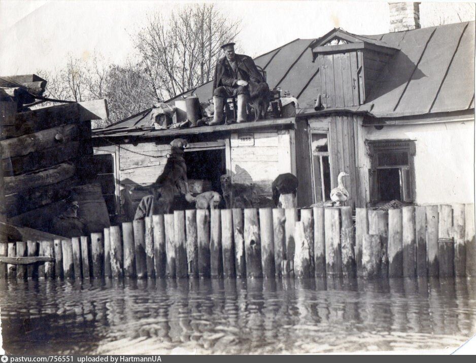 У 1905 році мешканці Труханового острова в Києві через паводок рятувались із тваринами на дахах будинків. Архівні фото