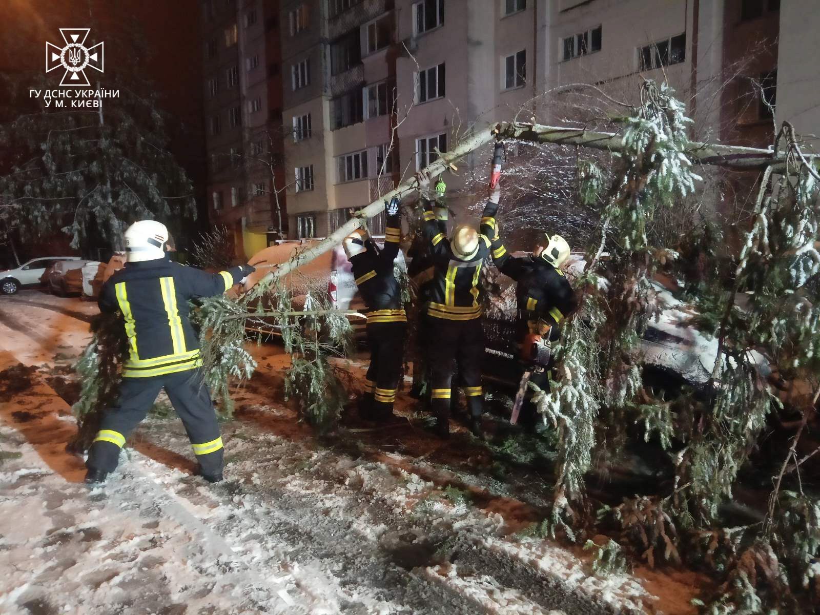 В Киеве из-за непогоды и порывов ветра деревья повредили несколько припаркованных машин. Фото