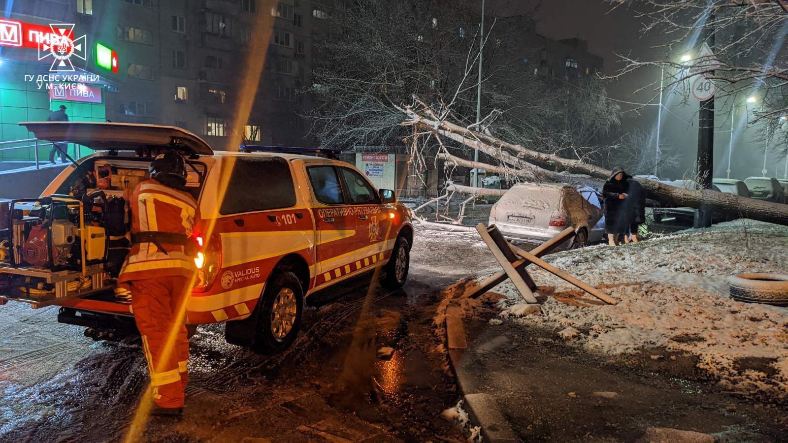 У Києві через негоду та пориви вітру дерева пошкодили кілька припаркованих машин. Фото