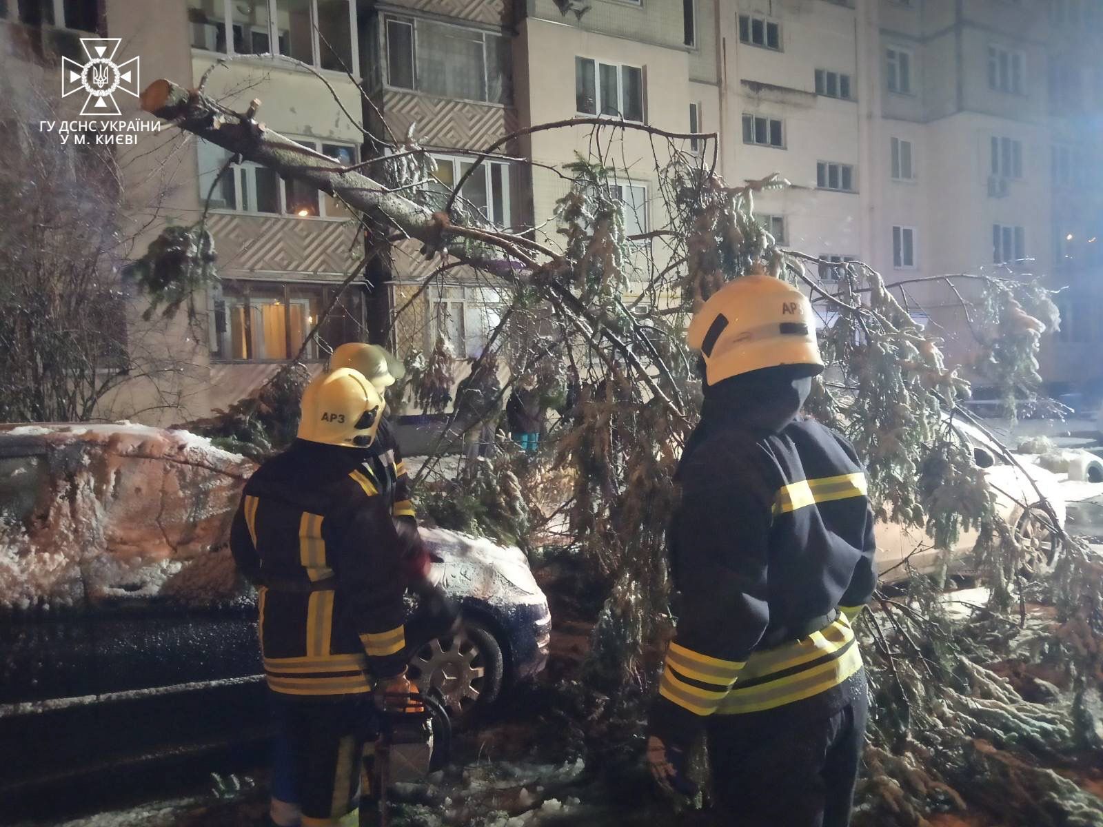В Киеве из-за непогоды и порывов ветра деревья повредили несколько припаркованных машин. Фото