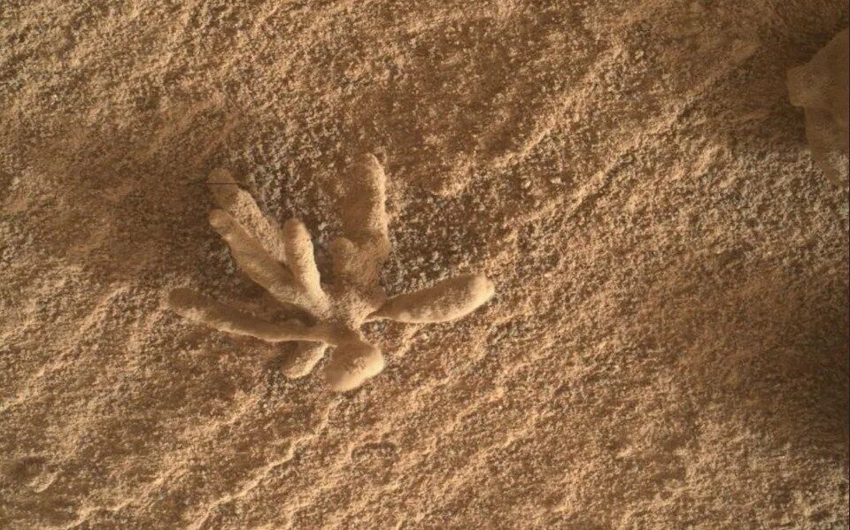 Скам'янілості на Марсі
