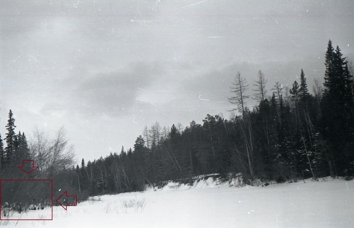 Пейзажне фото, зроблене учасником групи Дятлова в 1959 році