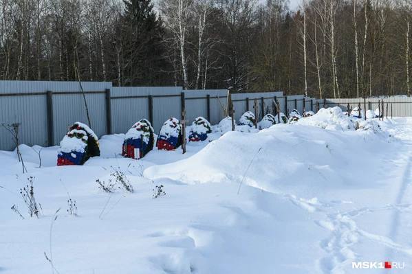 Под Москвой обнаружили кладбище ликвидированных в Украине наемников ЧВК "Вагнер": к их могилам никто не приходит. Фото