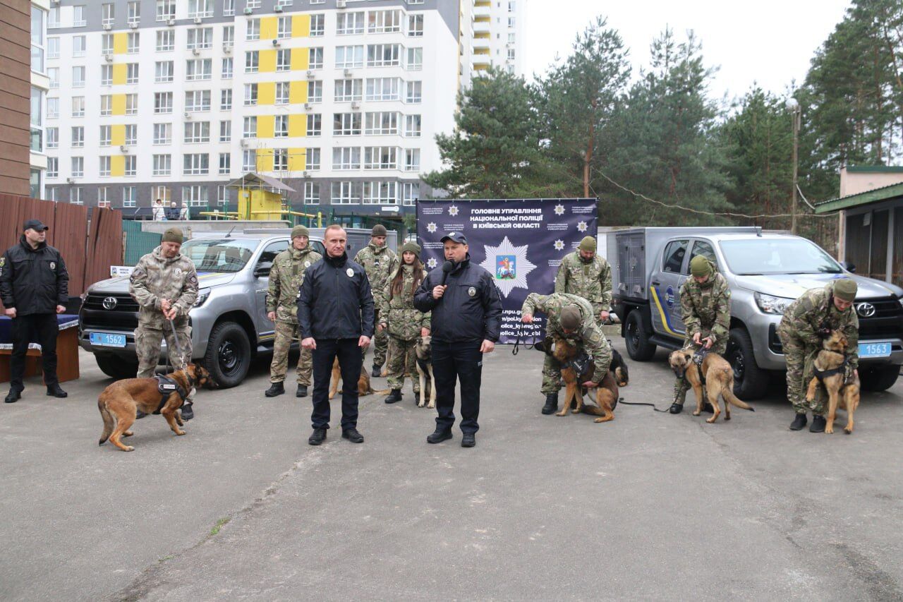 На допомогу Патрону: Нідерланди передали Україні 11 собак-саперів. Фото 