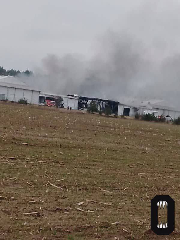 Россия снова в огне: горит птицефабрика в Брянской области. Фото и видео