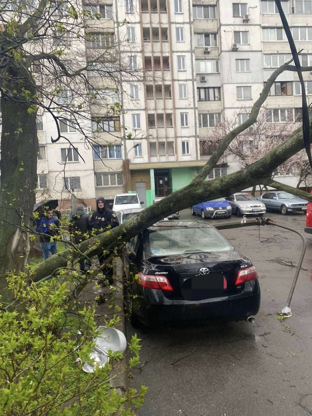 В Киеве ветер свалил дерево и бетонную электроопору на припаркованные машины. Фото