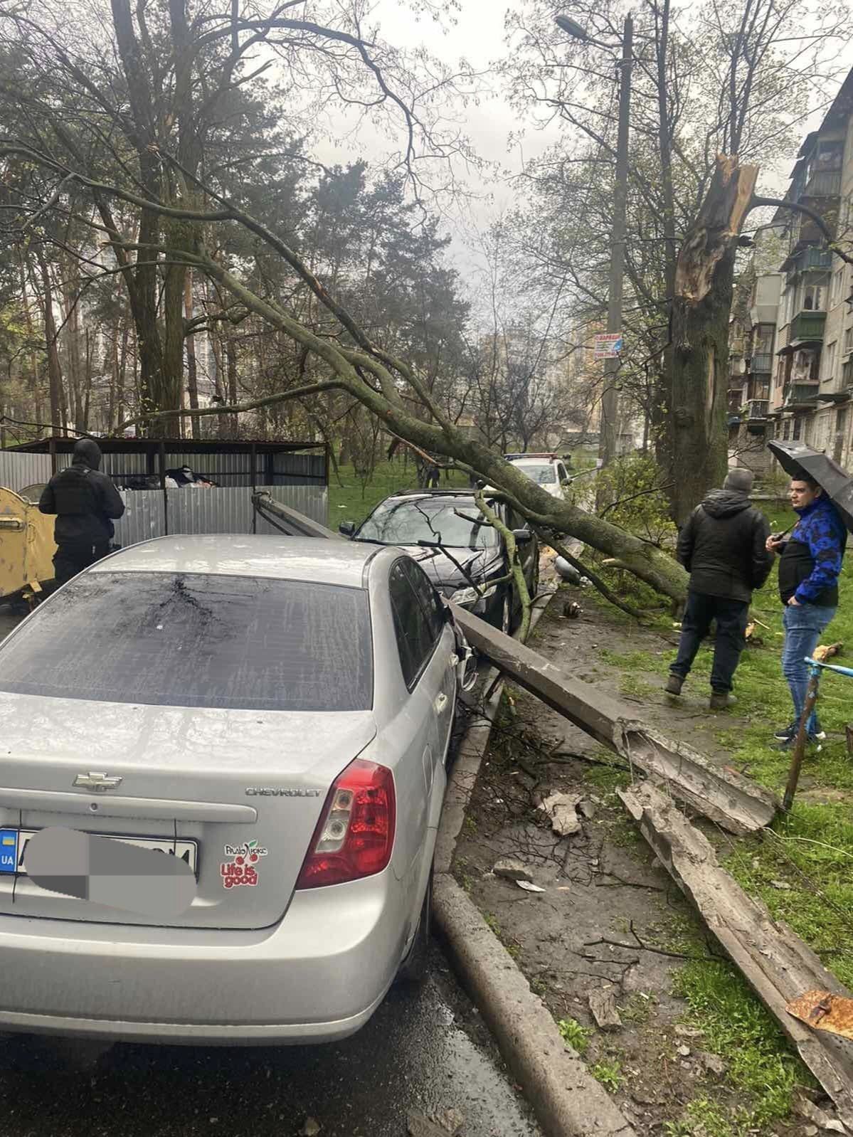 В Киеве ветер свалил дерево и бетонную электроопору на припаркованные машины. Фото