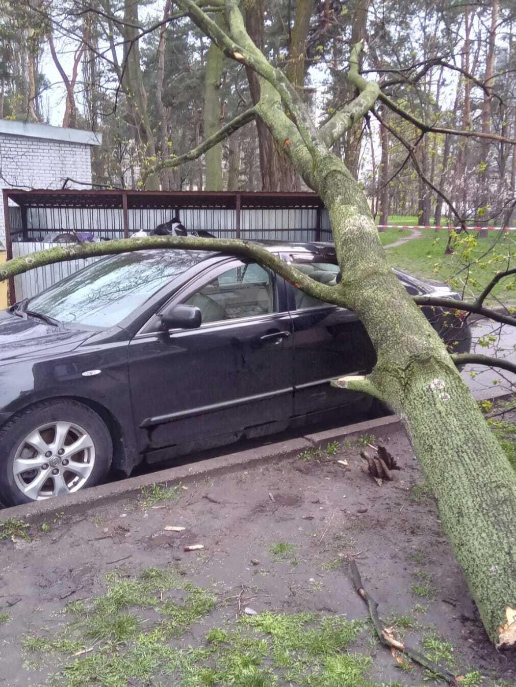 У Києві вітер повалив дерево та бетонну електроопору на припарковані машини. Фото