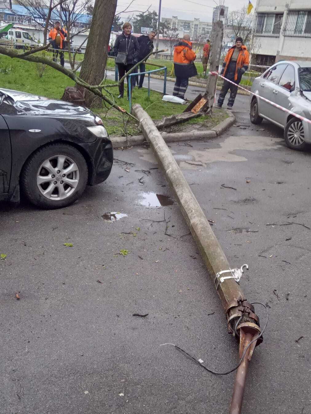 У Києві вітер повалив дерево та бетонну електроопору на припарковані машини. Фото