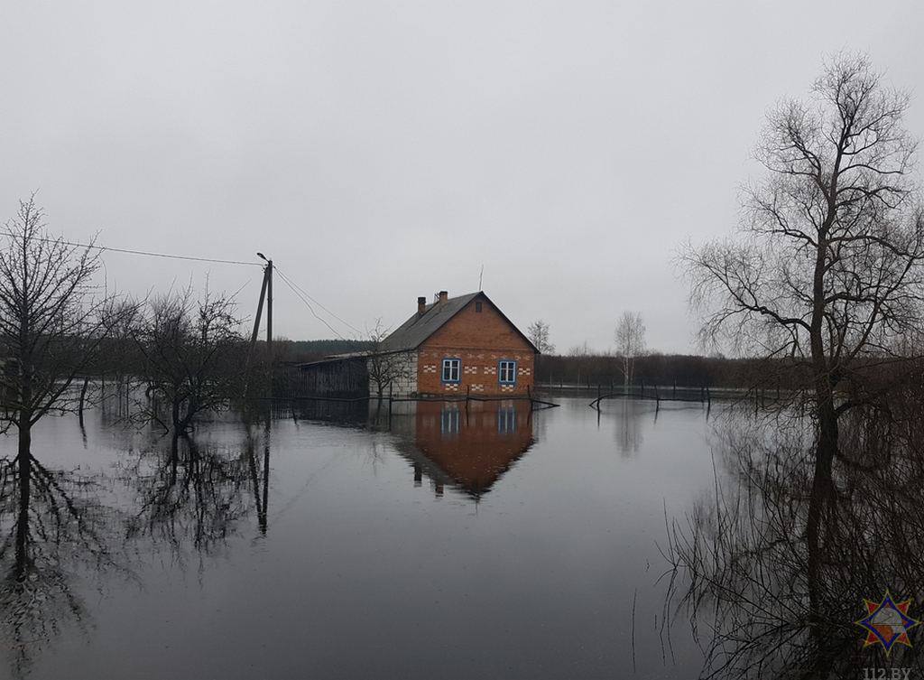 Дома залило водой по окна: в беларуском Гомеле из-за прорыва плотины затопило дворы, людей эвакуировали. Фото и видео