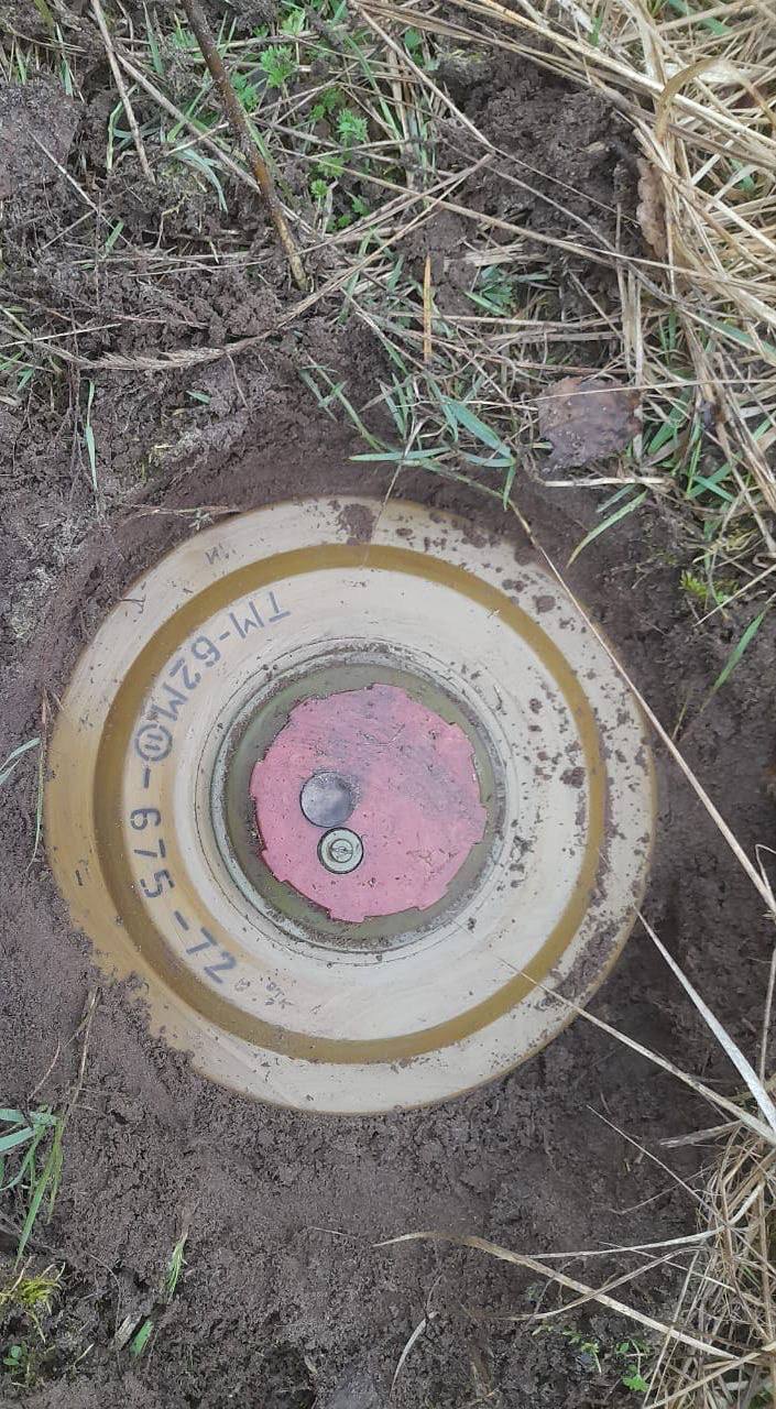 В Киевской области мужчина едва не подорвался на минах оккупантов: хотел сократить дорогу. Фото и видео