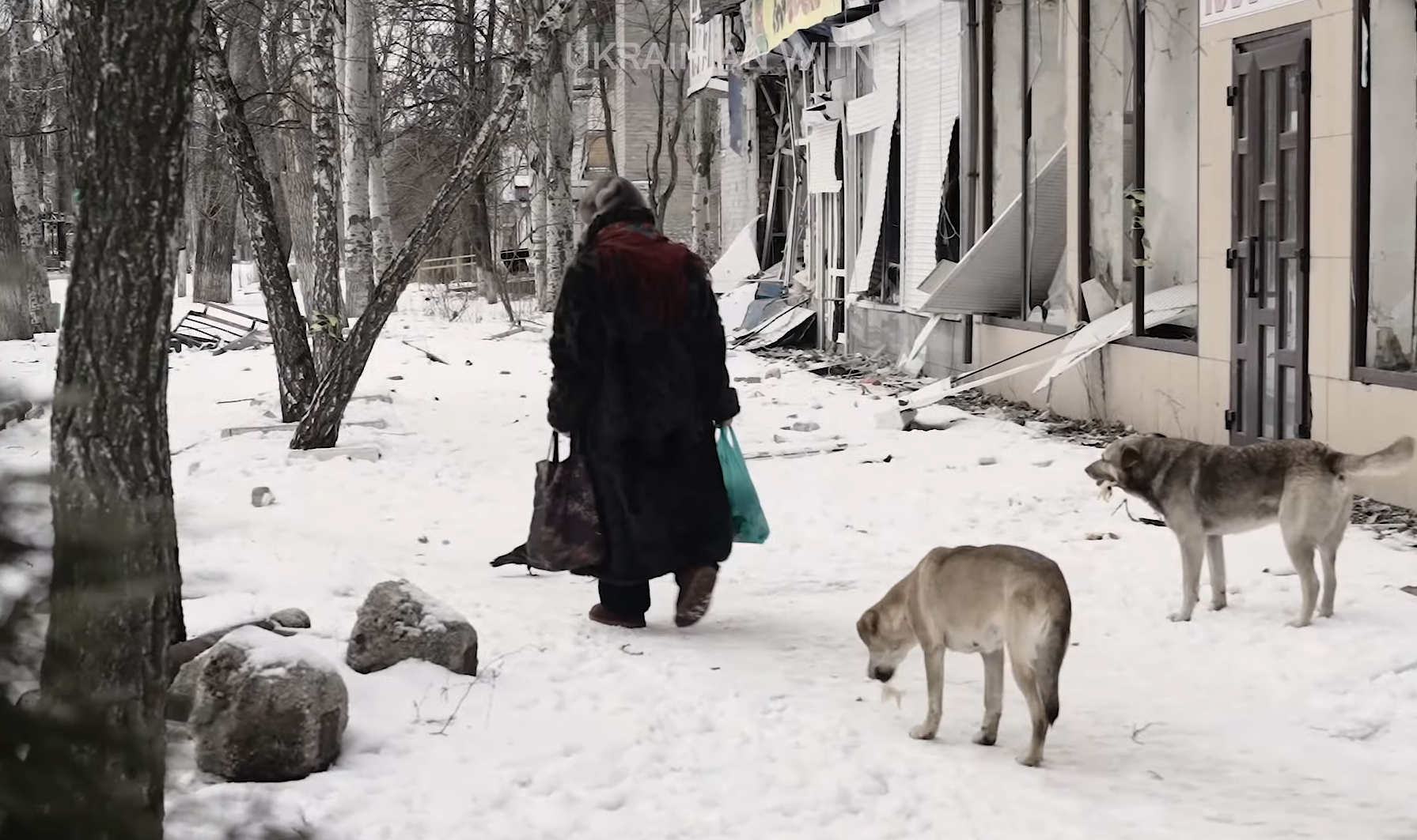 Спать можно только в подвале, но выезжать из города не хотят: Авдеевка больше полугода живет на линии огня. Видео