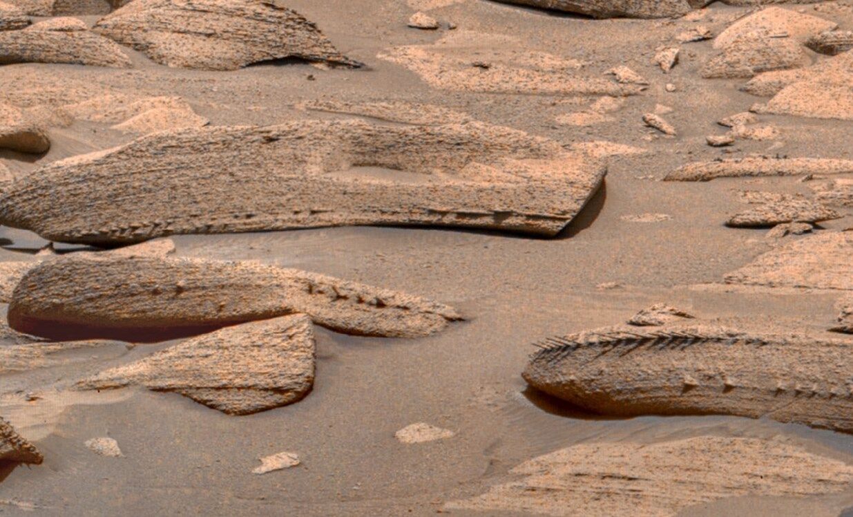 Камни на Марсе со структурами, похожими на кости