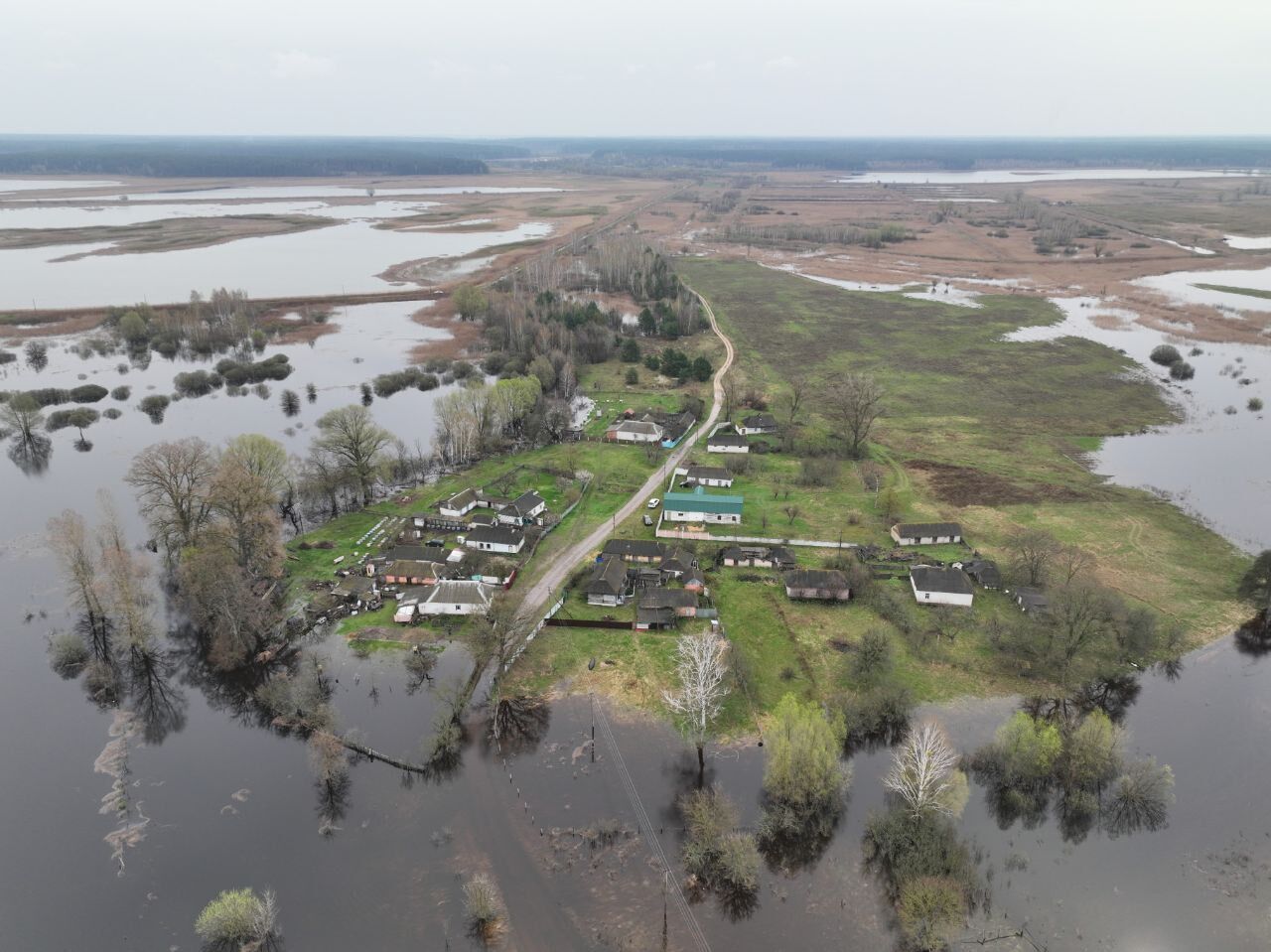 В Україні велика вода підтопила понад 900 домогосподарств, ДСНС тримає ситуацію на посиленому контролі. Фото і відео