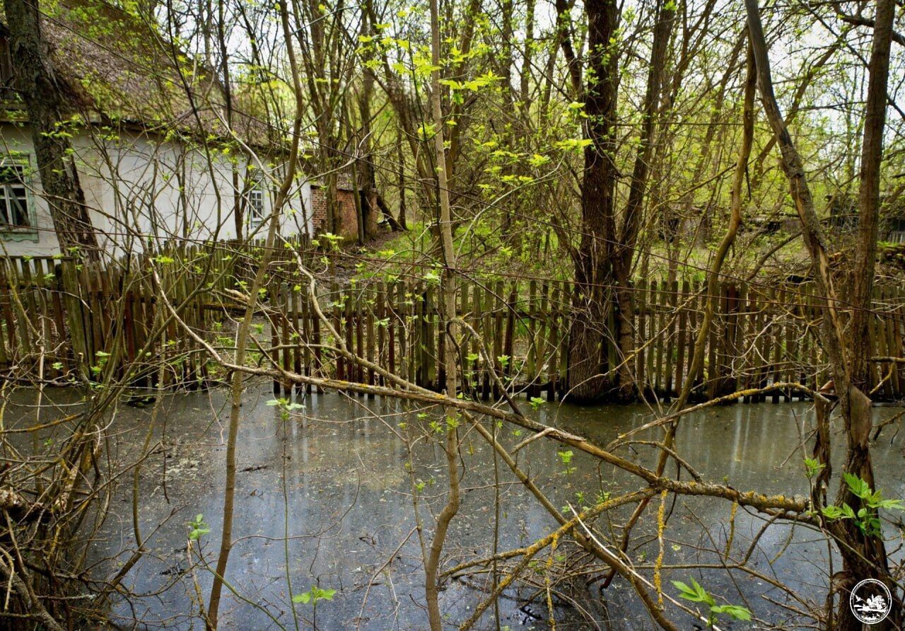 В результате весеннего наводнения частично затопило Чернобыльскую зону отчуждения. Фото
