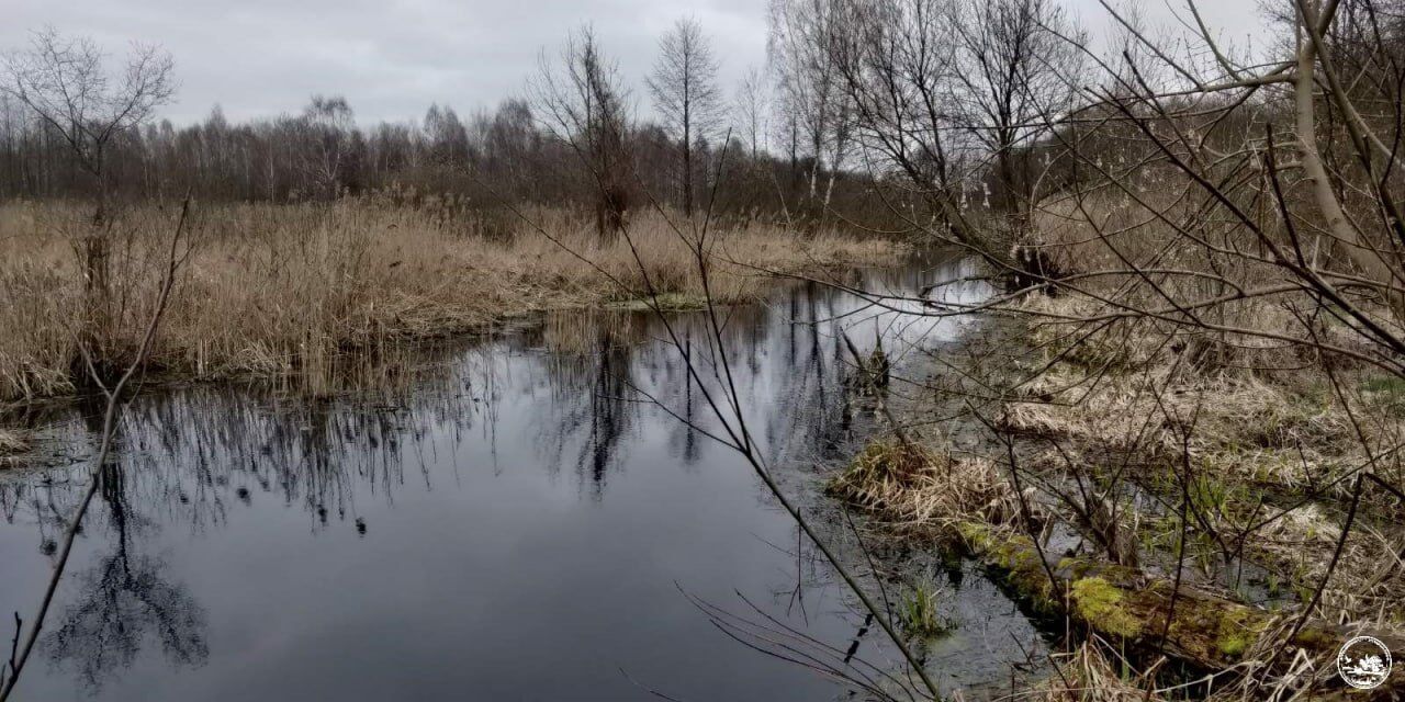 В результате весеннего наводнения частично затопило Чернобыльскую зону отчуждения. Фото