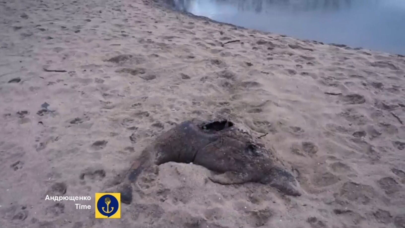 Мертві дельфіни та іржаві потяги: в мережі одним відео з Маріуполя показали, що принесли окупанти. Відео