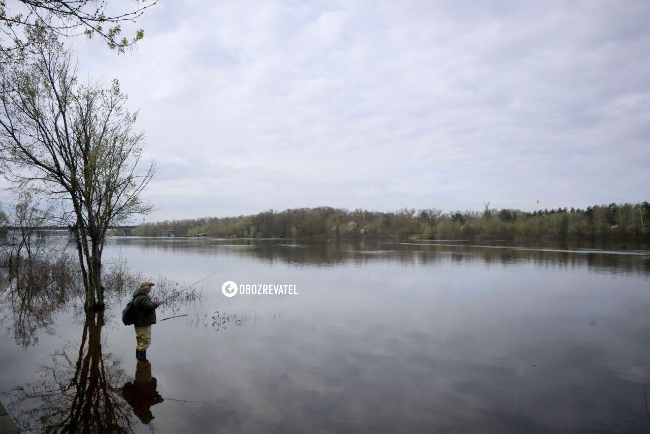 Рыбаки и утки на скамейках: в Киеве Днепр затопил территорию Гидропарка. Фоторепортаж