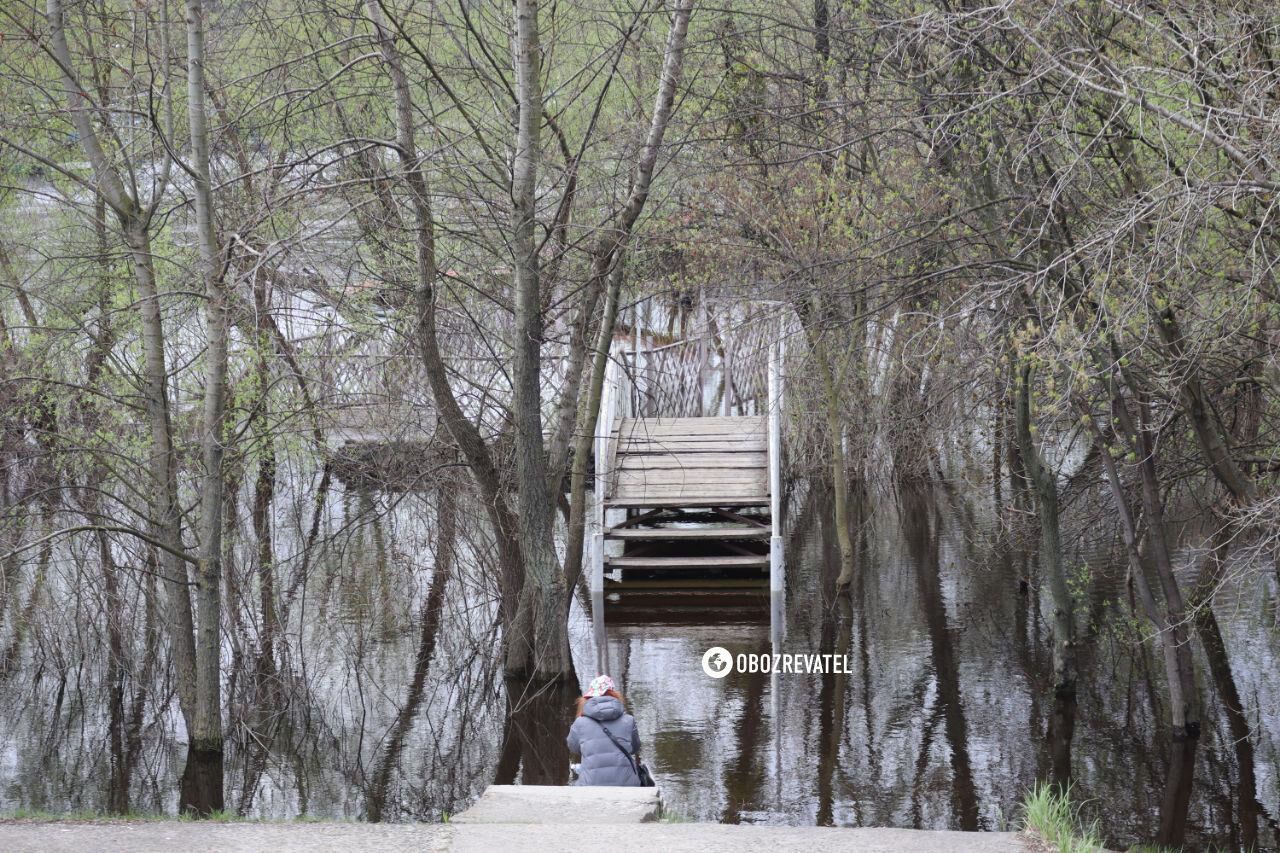 Рыбаки и утки на скамейках: в Киеве Днепр затопил территорию Гидропарка. Фоторепортаж