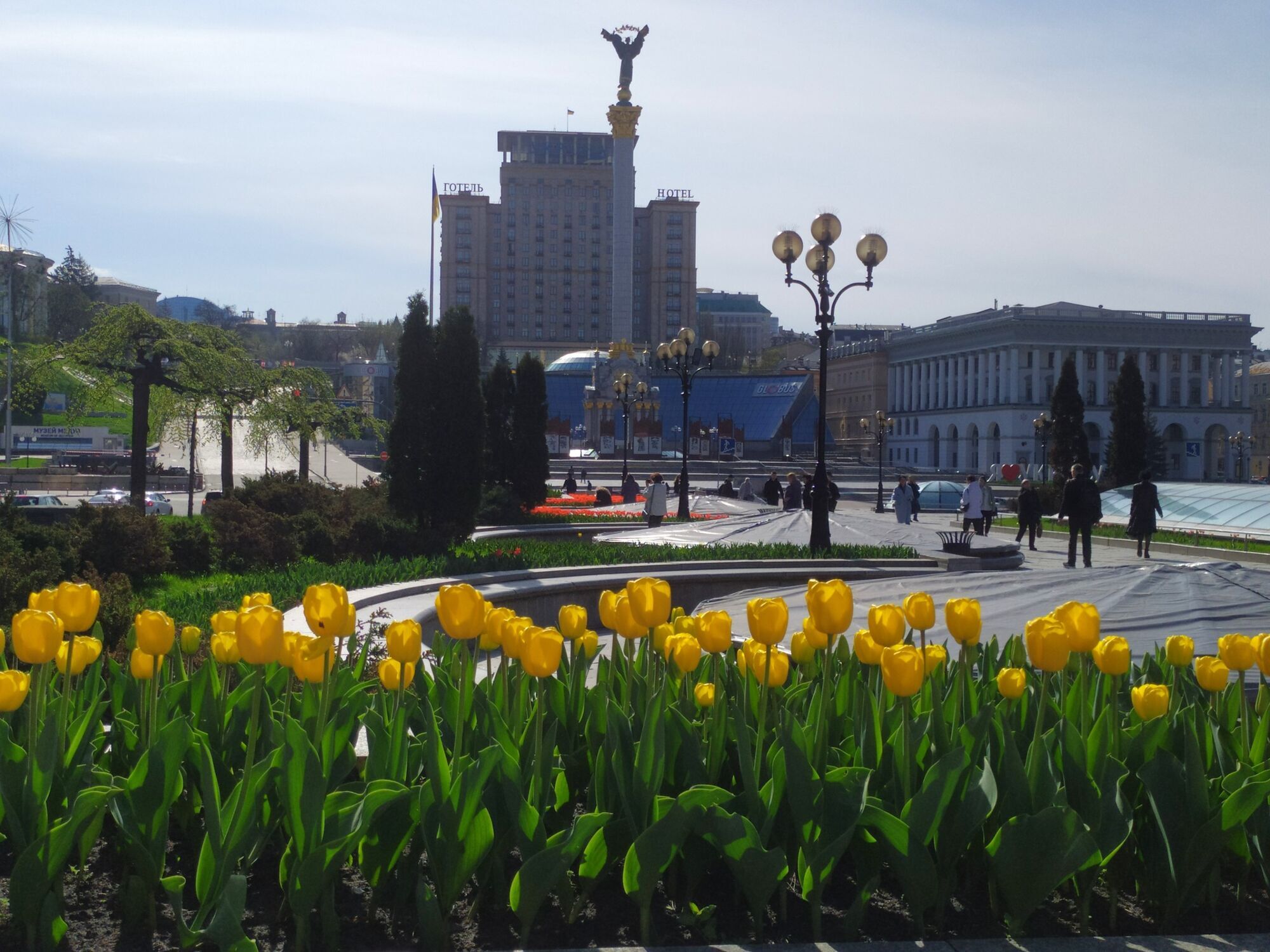 В Киеве начинают цвести 125 тыс. нидерландских тюльпанов: где можно увидеть красоту. Фото