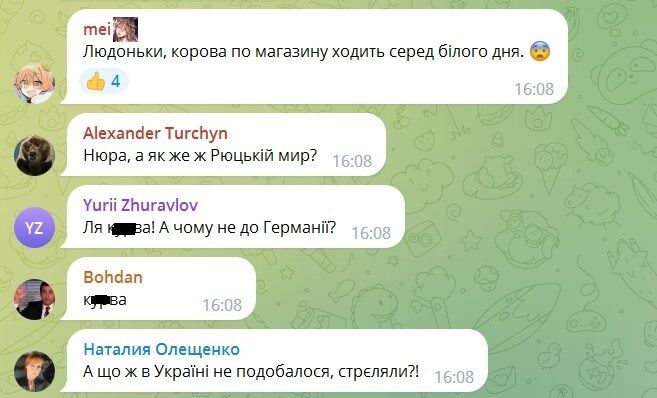 Поплічниця Януковича Ганна Герман "засвітилася" в Іспанії: насолоджується життям у курортному Бенідормі. Фото