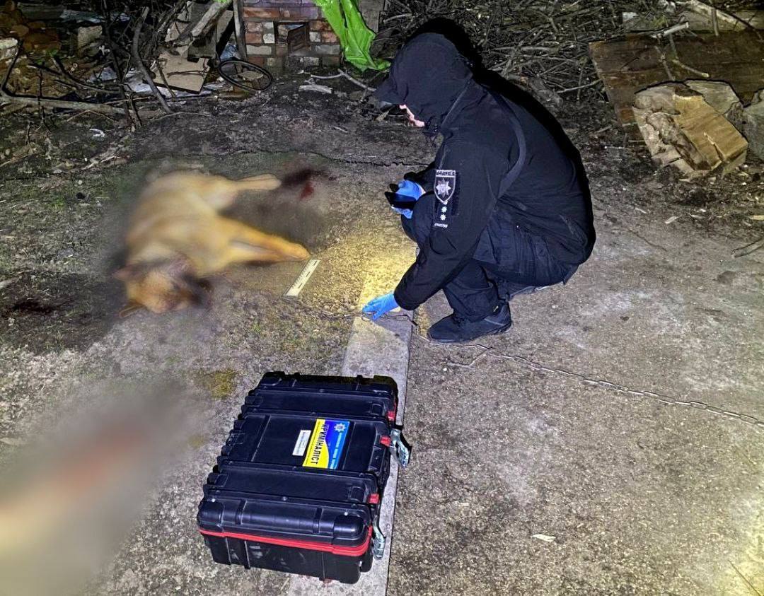На Київщині чоловік палкою забив до смерті собаку. Фото