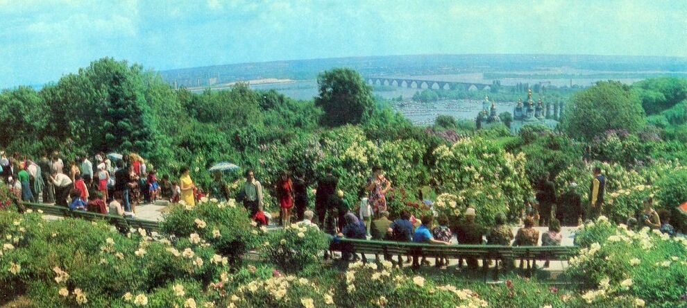 У мережі показали, як у другій половині 1970-х цвіли бузки у ботсаду Гришка в Києві. Архівні фото