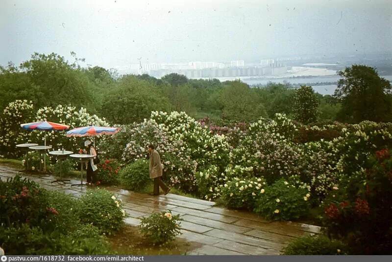 У мережі показали, як у другій половині 1970-х цвіли бузки у ботсаду Гришка в Києві. Архівні фото