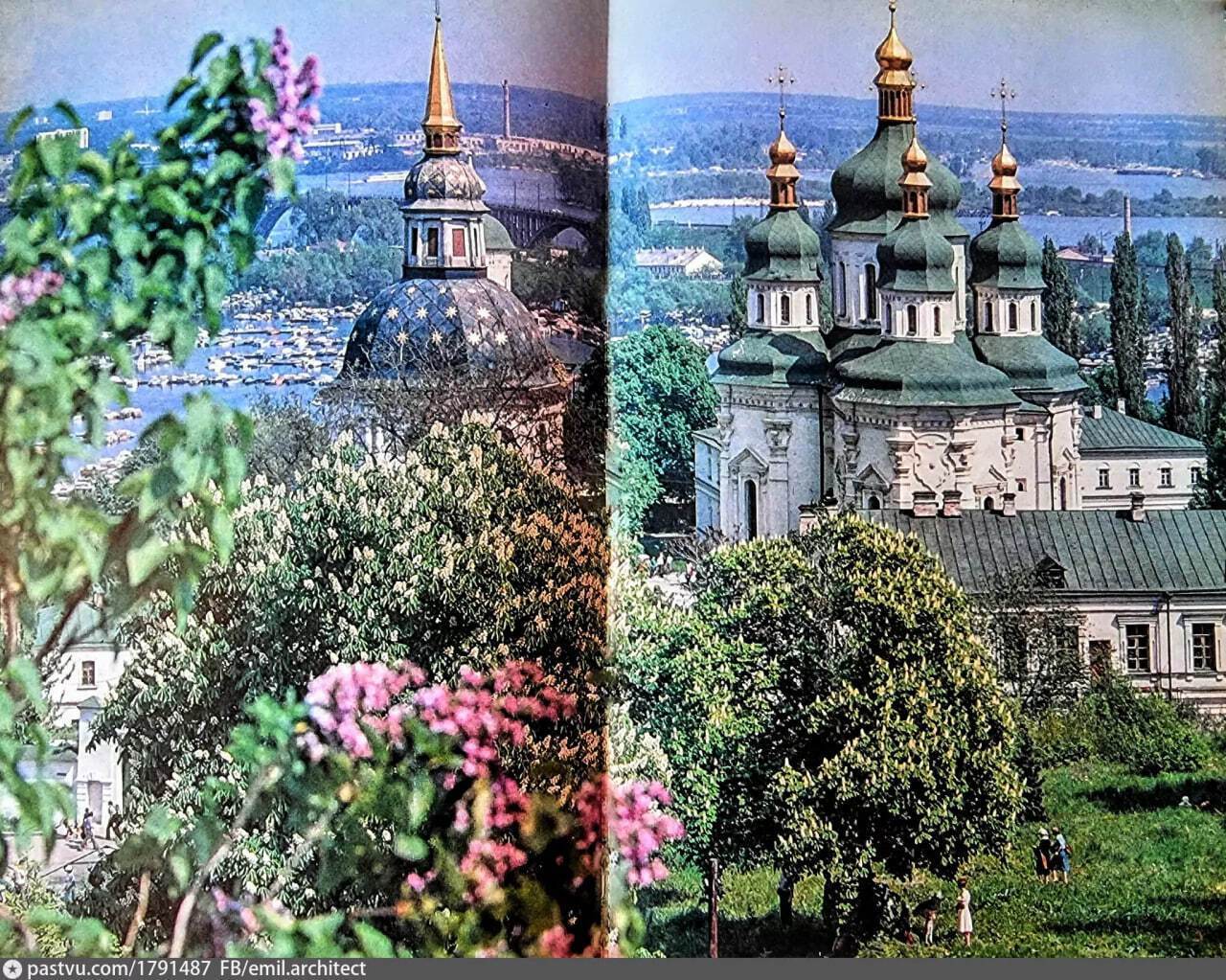 У мережі показали, як у другій половині 1970-х цвіли бузки у ботсаду Гришка в Києві. Архівні фото