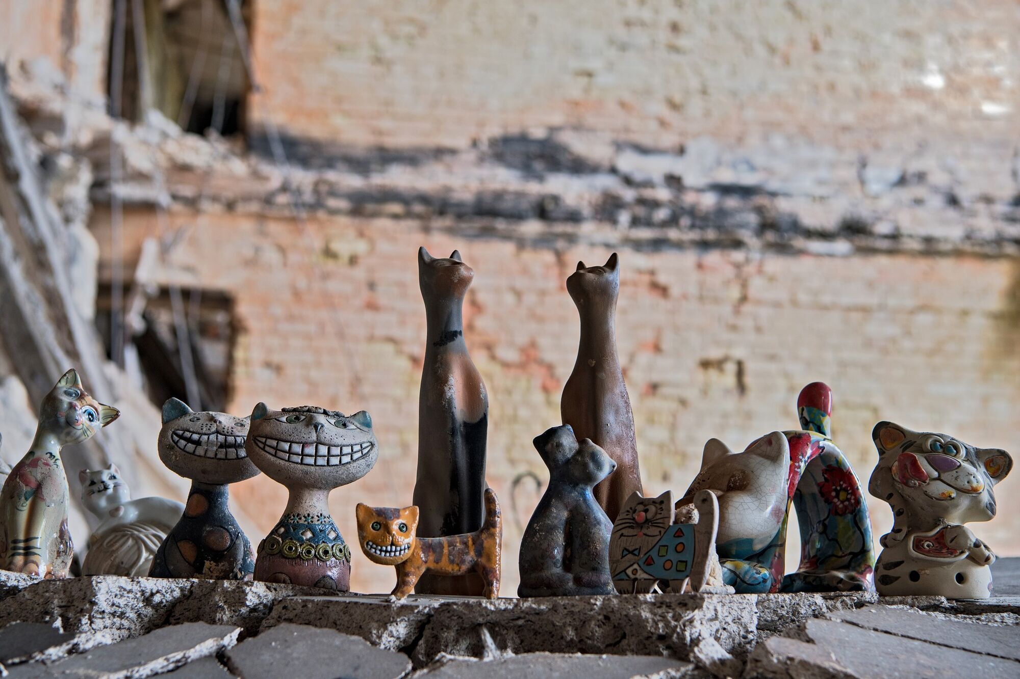 В полностью разрушенном доме в Гостомеле невероятным образом уцелела коллекция керамических котиков. Фото и видео