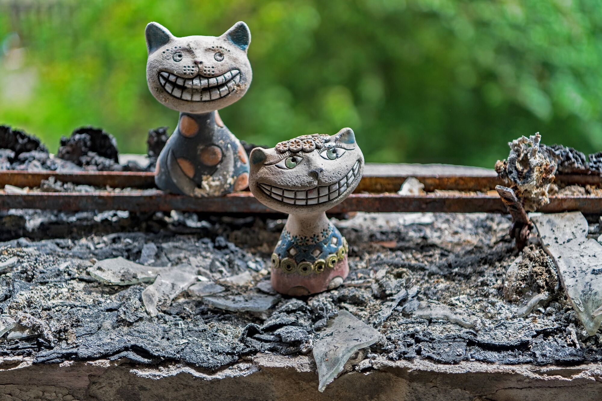 У повністю зруйнованому будинку в Гостомелі неймовірним чином вціліла колекція керамічних котиків. Фото та відео