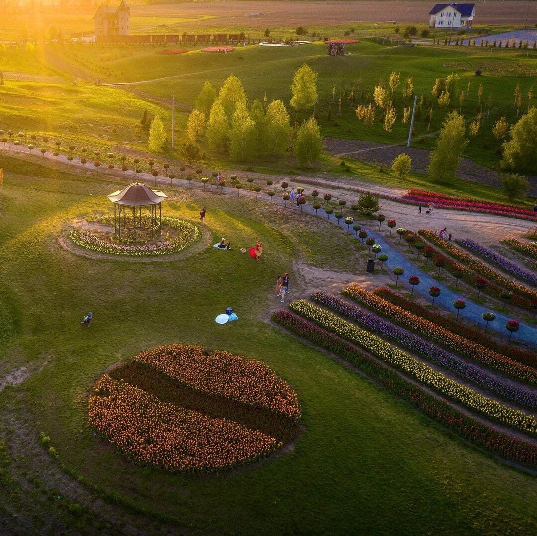 Поле тюльпанов и сад сакур: где провести выходные в Киеве и области