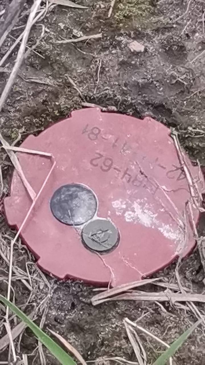 В Киевской области в одном из сел на улице обнаружили противотанковую мину. Фото