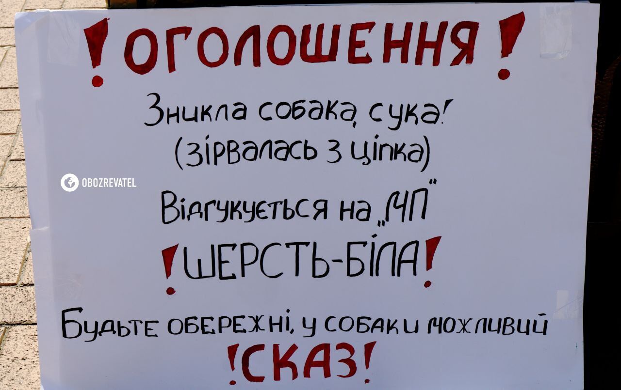 У Києво-Печерській лаврі влаштували виставку анти-УПЦ МП плакатів. Фоторепортаж