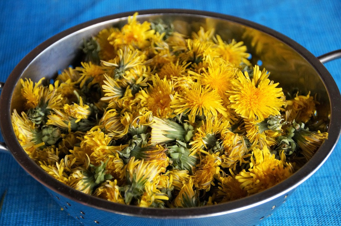 Домашнее вино из одуванчиков – рецепт и секреты приготовления | FoodOboz