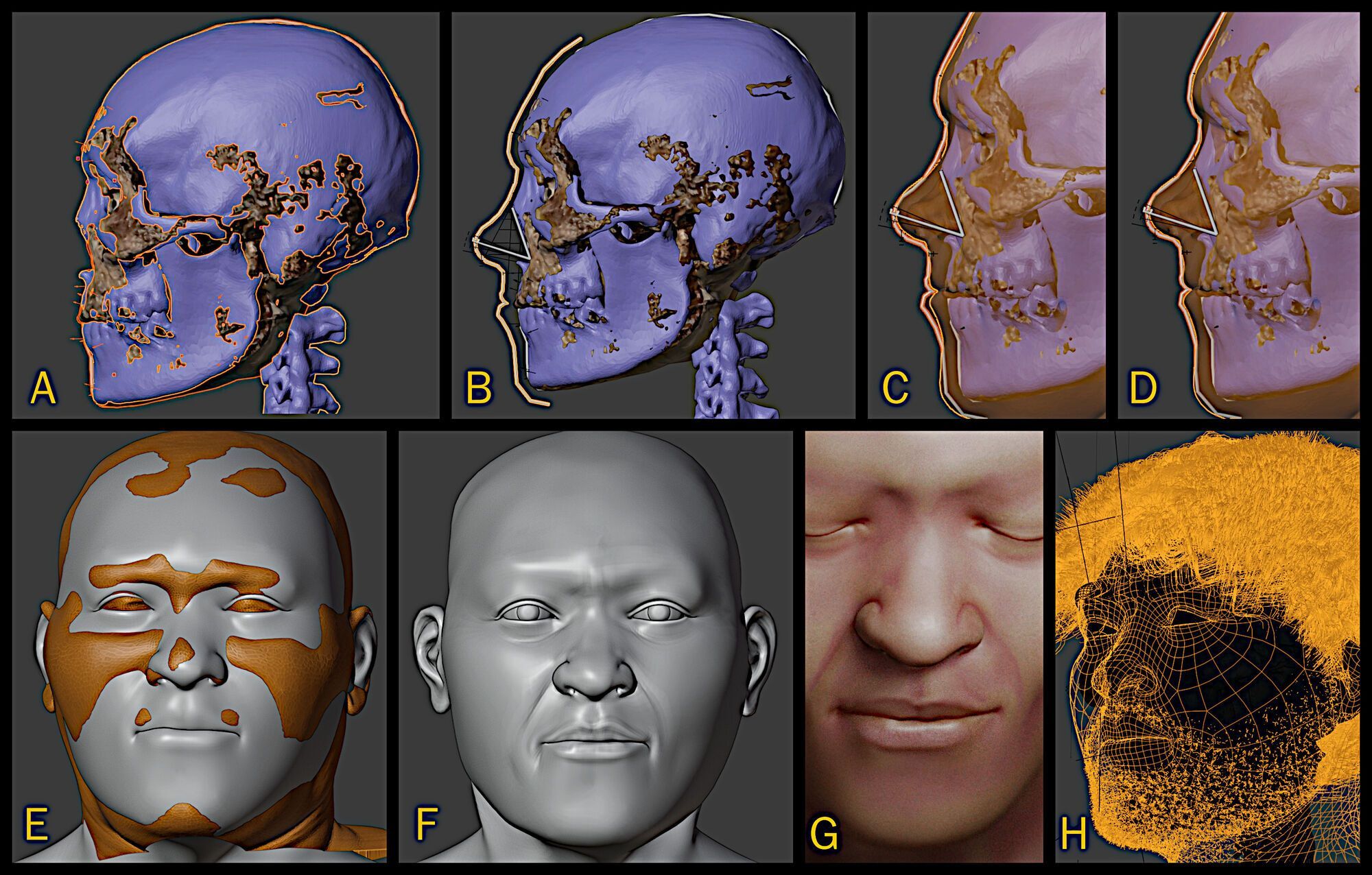 Процесс создания лица Homo sapiens, жившего 30 тысяч лет назад.