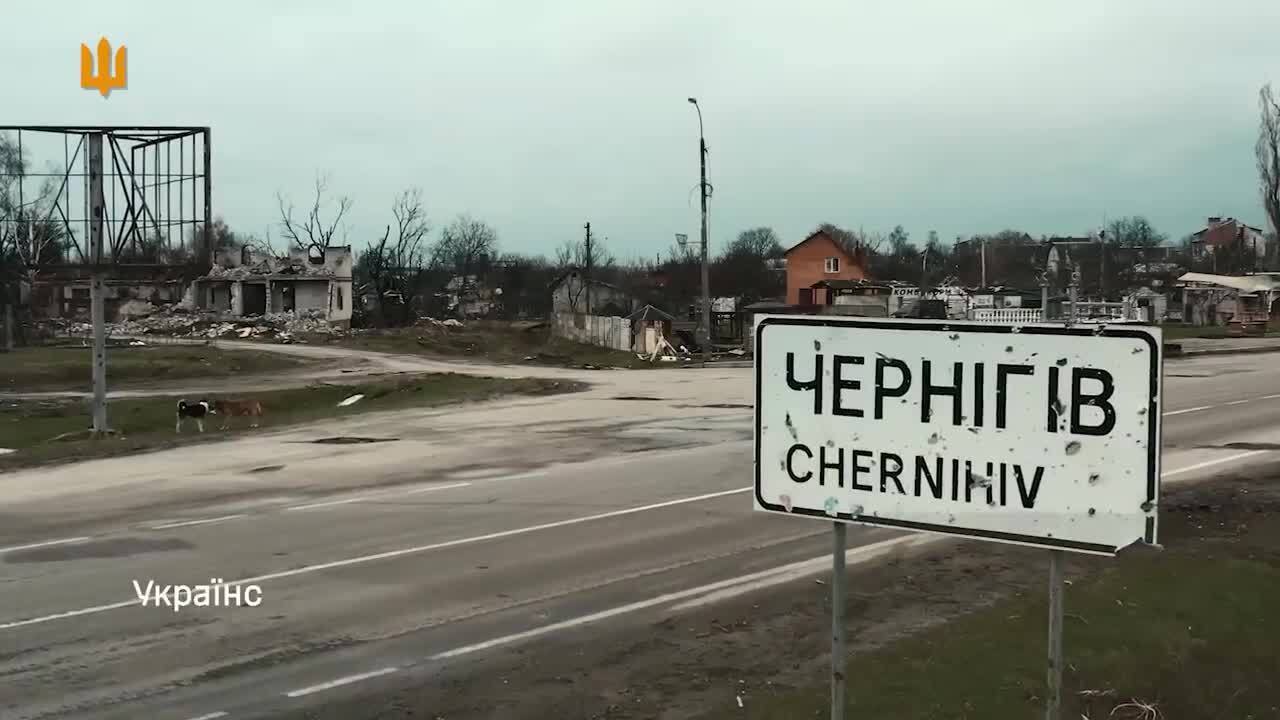 "Враг не смог добиться своей цели": Залужный отметил героизм защитников Украины в годовщину освобождения Черниговщины от оккупантов. Видео