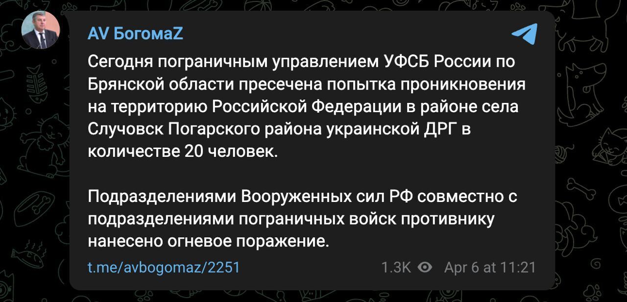 В Брянской области пожаловались на атаку украинской ДРГ и показали видео