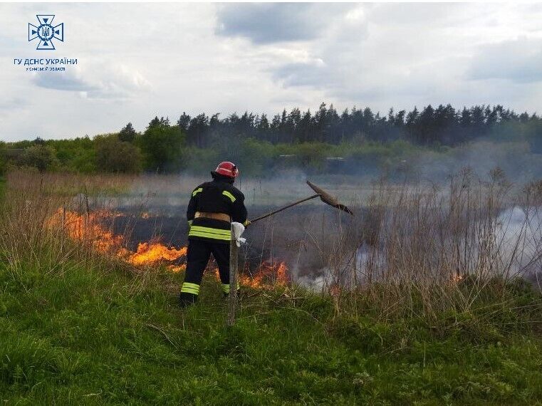 Огромный вред для экологии и человека: в ГСЧС привели ужасающую статистику пожаров в экосистемах. Фото